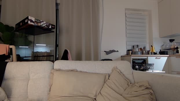 WhoribleSasha MyFreeCams Female 02-02-2025