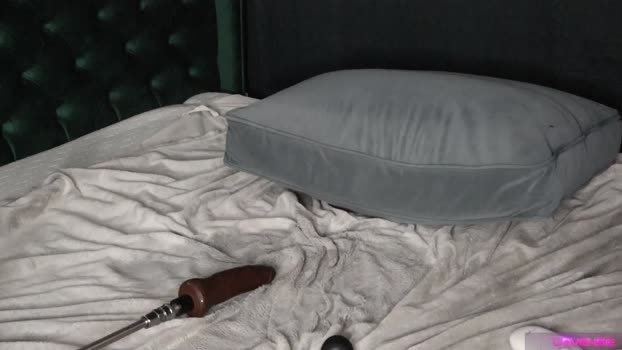 alicebunny_ StripChat Female 02-02-2025