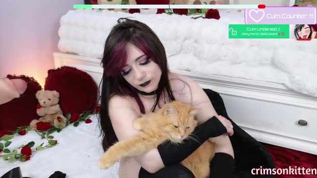 crimsonkitten Chaturbate Female 02-02-2025