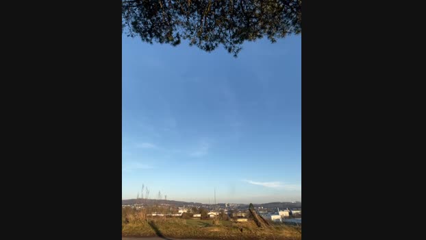 joanaelaa StripChat Female 03-02-2025