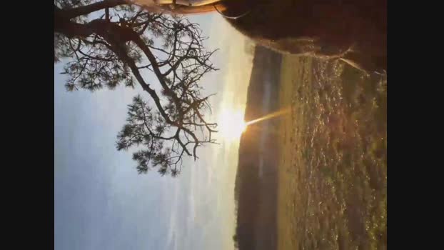 joanaelaa StripChat Female 03-02-2025