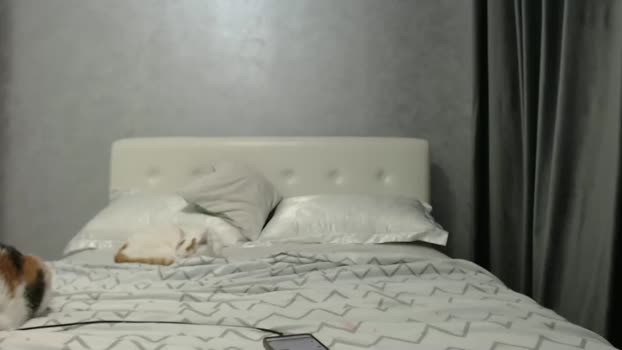 Aahh_Emilia MyFreeCams Female 03-02-2025