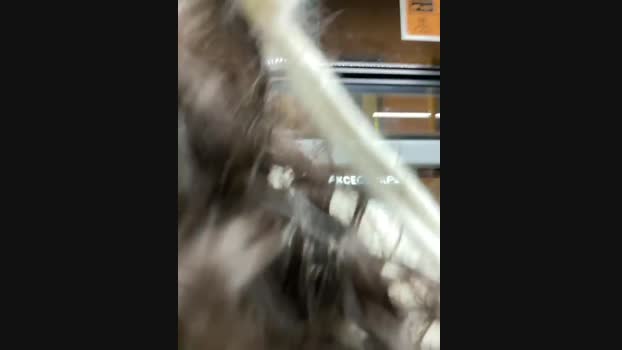 Lina_twin StripChat Female 04-02-2025