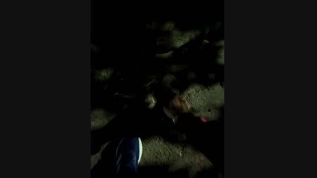 Street_royal StripChat Female 03-02-2025