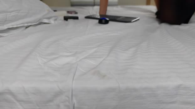 celestara StripChat Female 04-02-2025