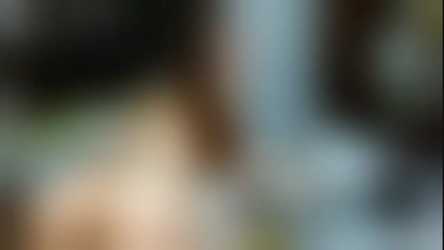 sun_y_moon_home StripChat Female 04-02-2025