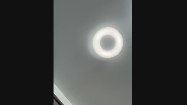 Lady_MiaOlson StripChat Female 07-02-2025