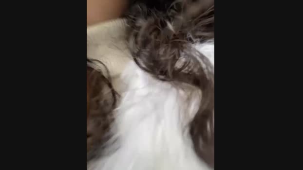 Lina_twin StripChat Female 08-02-2025