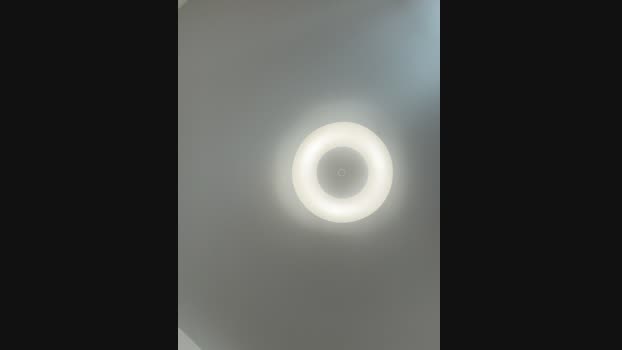 Lady_MiaOlson StripChat Female 08-02-2025