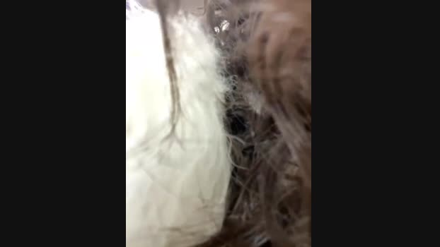 Lina_twin StripChat Female 09-02-2025