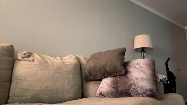 cutiepie0jenna Chaturbate Female 09-02-2025