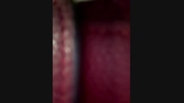 Lina_twin StripChat Female 11-02-2025