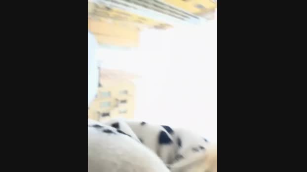 Milkyy_wway StripChat Female 12-02-2025