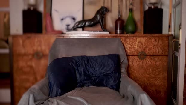 avalonnfoxx Chaturbate Female 11-02-2025