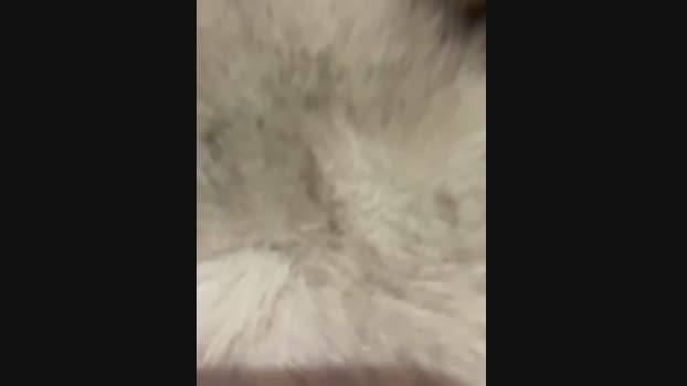 babydolll StripChat Female 11-02-2025