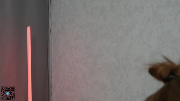 yeepshyy Chaturbate Female 11-02-2025