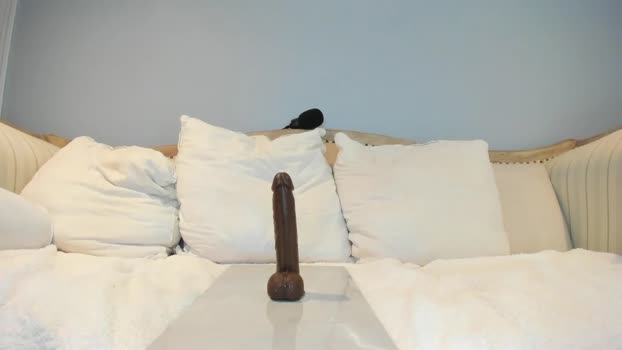 eatmygingersnapps Chaturbate Female 12-02-2025