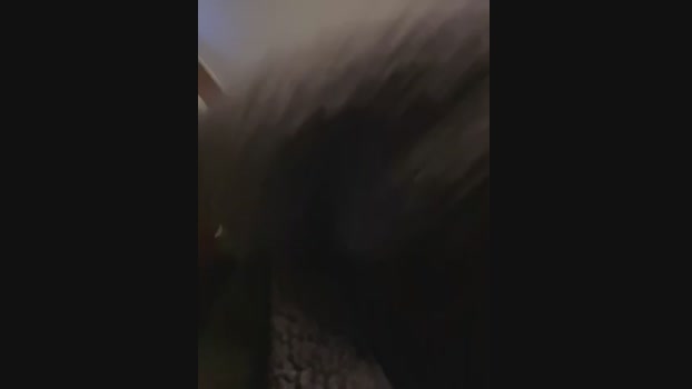 KitteCat StripChat Female 14-02-2025