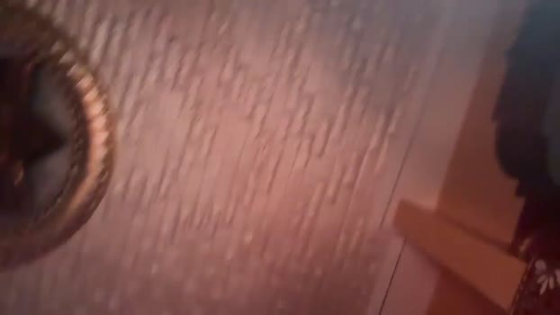 ORLA86 StripChat Female 13-02-2025