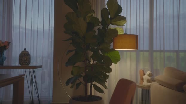 emma_lu1 Chaturbate Female 13-02-2025