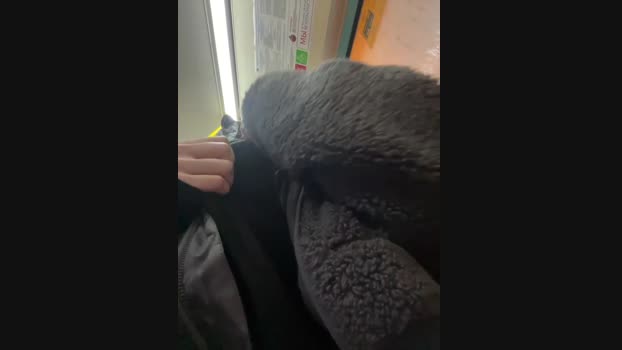 KitteCat StripChat Female 14-02-2025