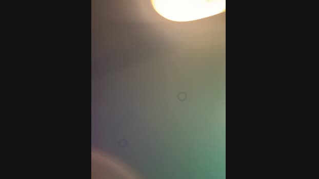 curchez_ StripChat Female 14-02-2025