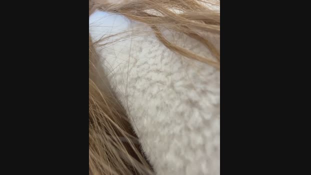 AngelinaTeller StripChat Female 17-02-2025