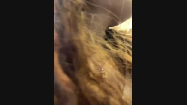 alana15 StripChat Female 19-02-2025