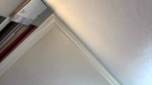 loveamber444 Chaturbate Female 19-02-2025