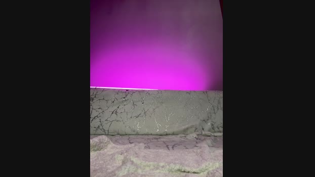 _Monic_ StripChat Female 20-02-2025