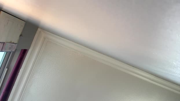 loveamber444 Chaturbate Female 20-02-2025