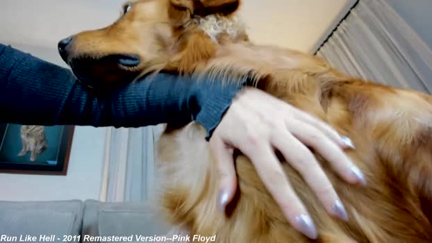 x_lily_x Chaturbate Female 20-02-2025