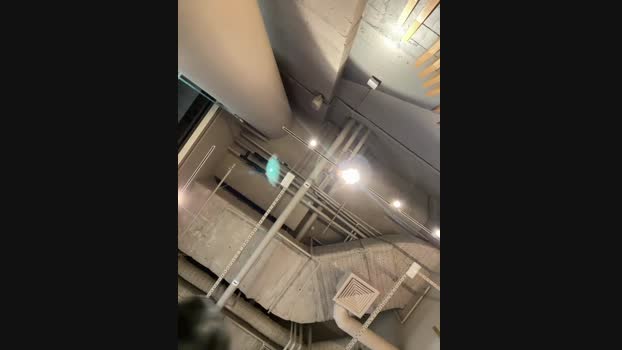 Wet__Bunny StripChat Female 23-02-2025