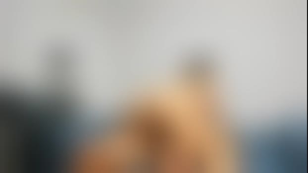 kandalove StripChat Female 22-02-2025