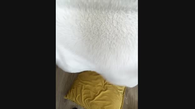 Ellzaa_ StripChat Female 24-02-2025