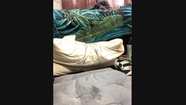 zasmin3 StripChat Female 24-02-2025