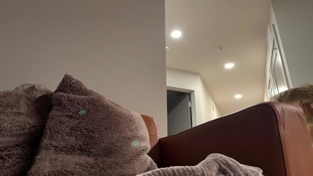 rosykindred Chaturbate Female 25-02-2025