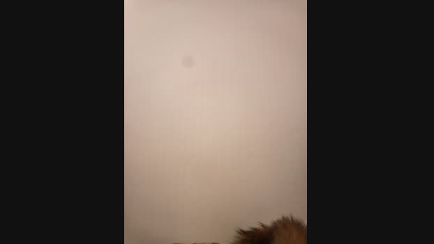 Kokokgv StripChat Female 27-02-2025