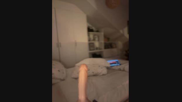 bellabee14 StripChat Female 28-02-2025