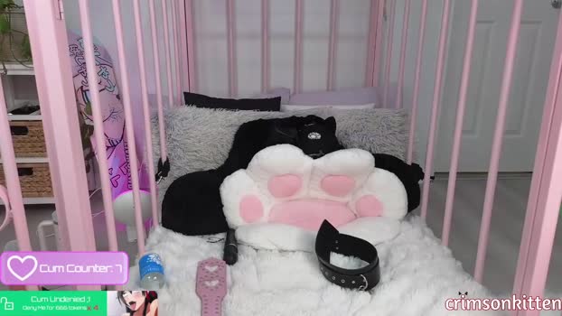 crimsonkitten Chaturbate Female 01-03-2025