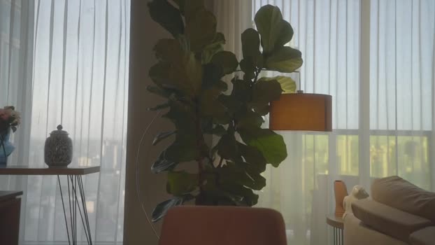 emma_lu1 Chaturbate Female 01-03-2025