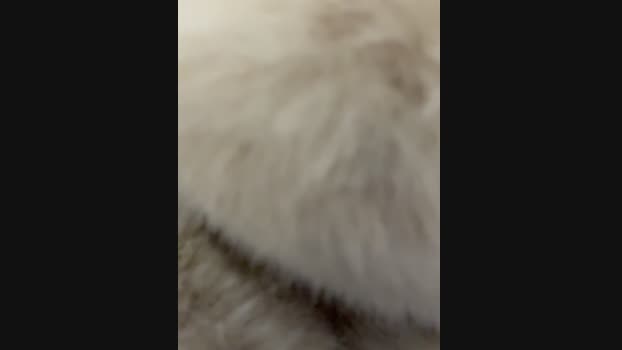 AngelinaTeller StripChat Female 05-03-2025