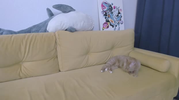 LunaStarLovs MyFreeCams Female 08-03-2025