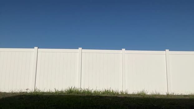 jadelove_ Chaturbate Female 11-03-2025