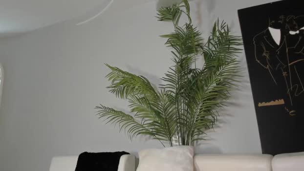 blonde_riderxxx Chaturbate Female 13-03-2025