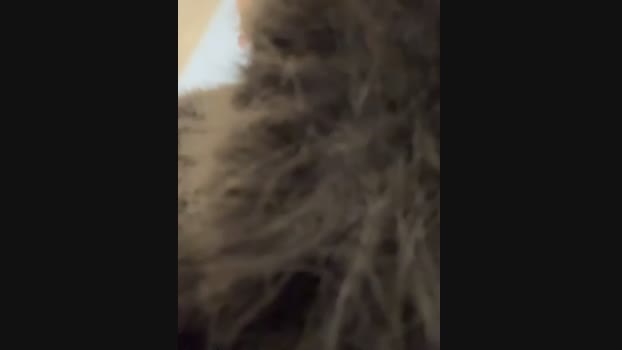 Myrtle_Beach StripChat Female 16-03-2025