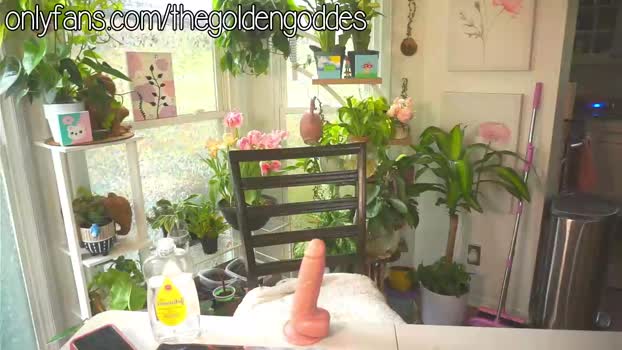 goldengoddessxxx Chaturbate Female 20-03-2025
