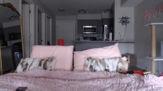 AlexisWildest MyFreeCams Female 22-03-2025