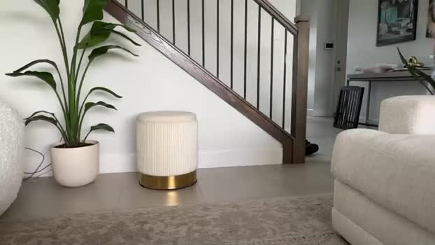 MsCheeks MyFreeCams Female 23-03-2025