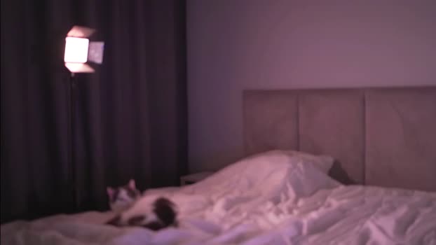 Stacywithyou MyFreeCams Female 25-03-2025